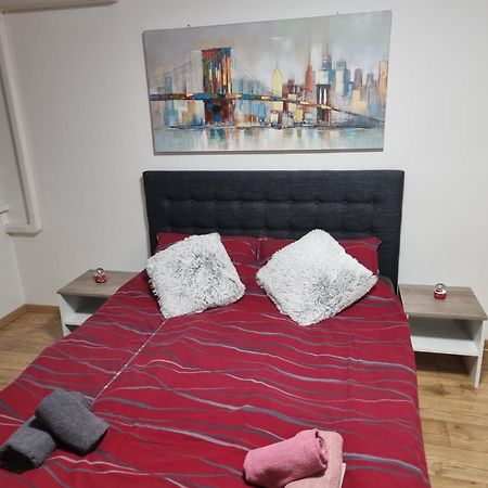Studio Apartman Bojana 34M2,Free Wifi,Parking Sisak Extérieur photo