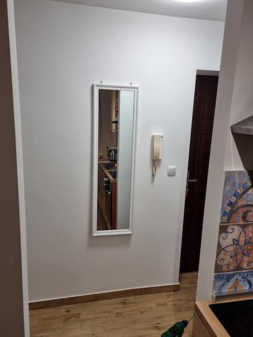 Studio Apartman Bojana 34M2,Free Wifi,Parking Sisak Extérieur photo