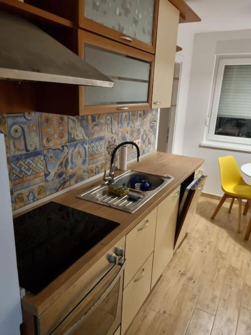 Studio Apartman Bojana 34M2,Free Wifi,Parking Sisak Extérieur photo