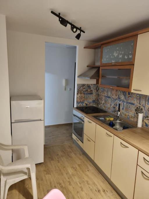 Studio Apartman Bojana 34M2,Free Wifi,Parking Sisak Extérieur photo