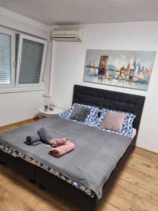 Studio Apartman Bojana 34M2,Free Wifi,Parking Sisak Extérieur photo