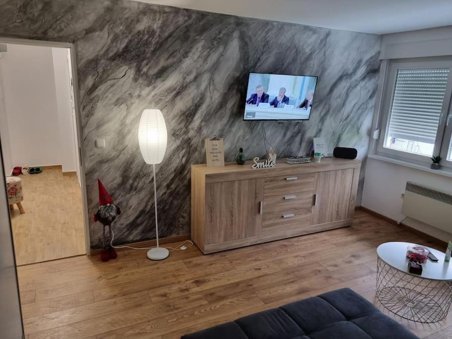 Studio Apartman Bojana 34M2,Free Wifi,Parking Sisak Extérieur photo