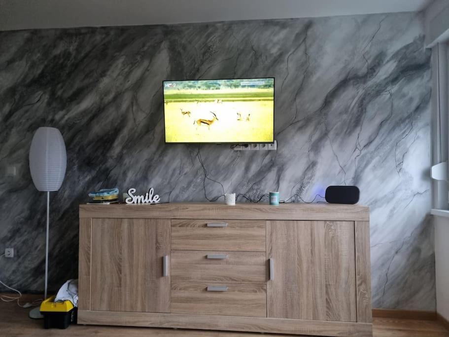 Studio Apartman Bojana 34M2,Free Wifi,Parking Sisak Extérieur photo