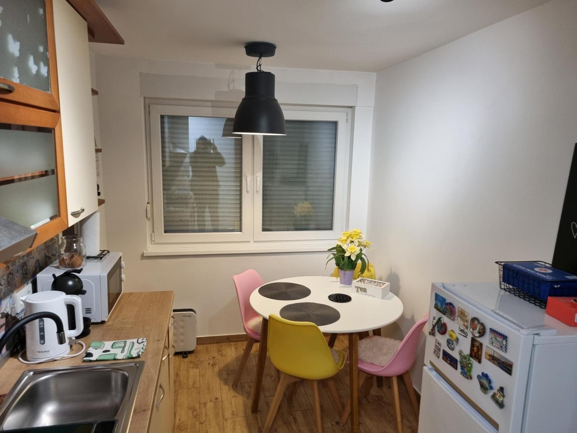 Studio Apartman Bojana 34M2,Free Wifi,Parking Sisak Extérieur photo